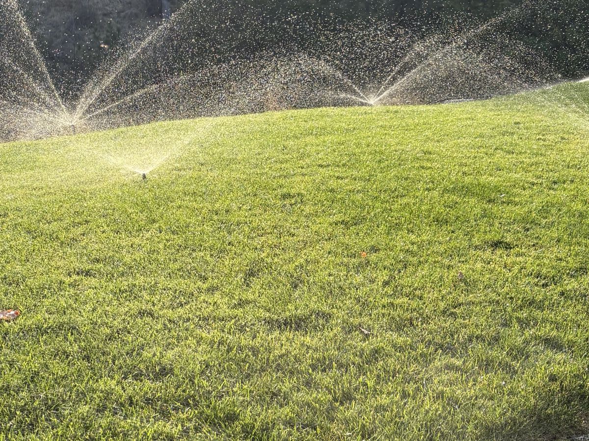 Pop-up sprinklers running across an established green lawn